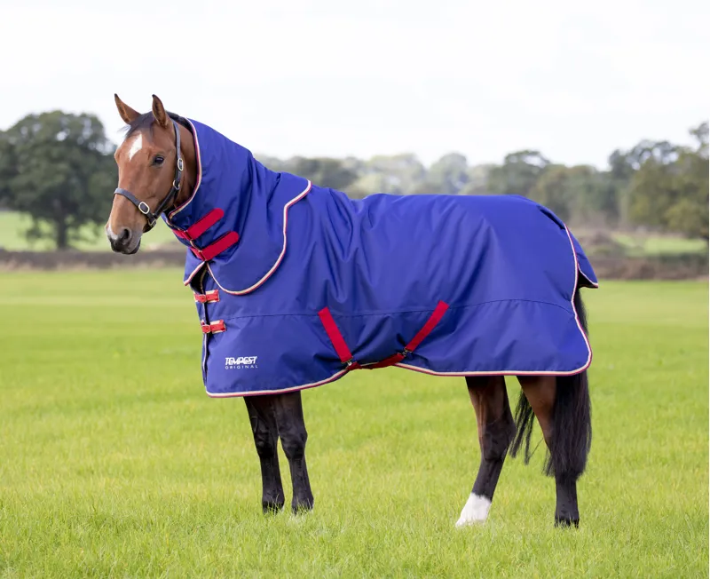 Shires Tempest Original 100g Turnout Rug and Neck Set in Navy